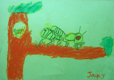grasshopper, Jacky, age:5