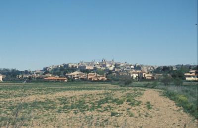 Toledo walled city