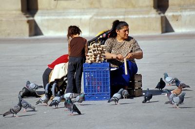 Bird seed street vendor, Zaragoza