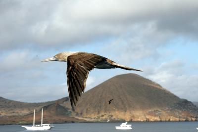 Bartolome, Galapagos, morning, February 2, 2006