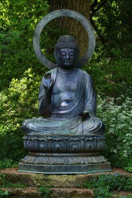 Buddha & Oak