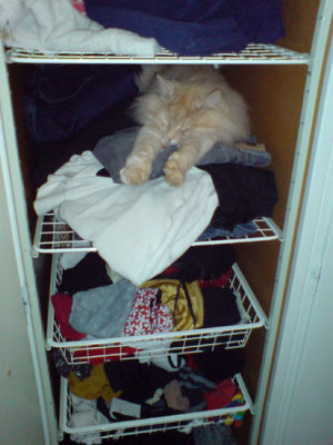 DSC00021.jpg