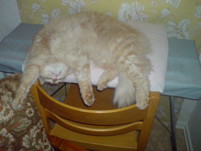 DSC00031.jpg