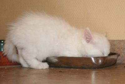 Fina eating with her whole body ;-)