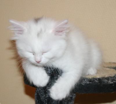 GannaSleep.jpg