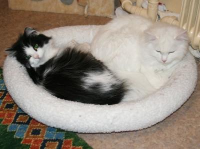 The two moms resting too