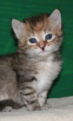 s Oksana 2.jpg