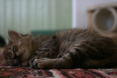 s Oksana sover.jpg