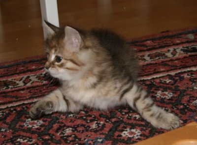 s Oksana3.jpg