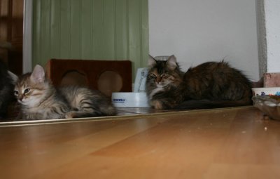 s oksana khitra.jpg