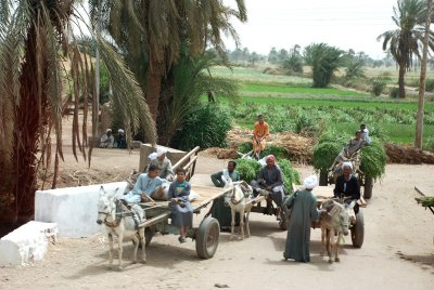 On the way to Luxor from the port in Safaga taken from a moving  bus 7.4.2008