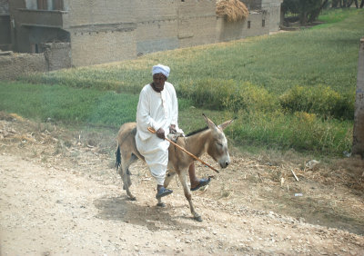 The best mode of transport in rural areas