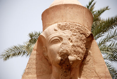 One of the thousands of statues at Karnak Temple Luxor