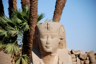Ruins of  Luxor Temple