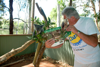 Dave having fun with the koala 17 July, 2008