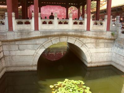 Pond in the Summer Palace.jpg