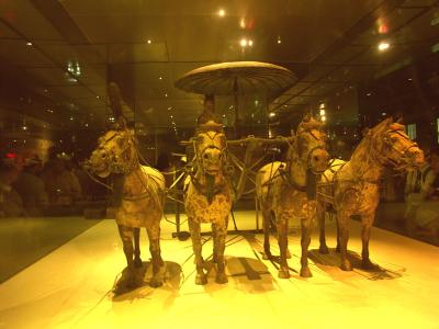 Terra Cotta Warrier on show at the special museum 3.jpg