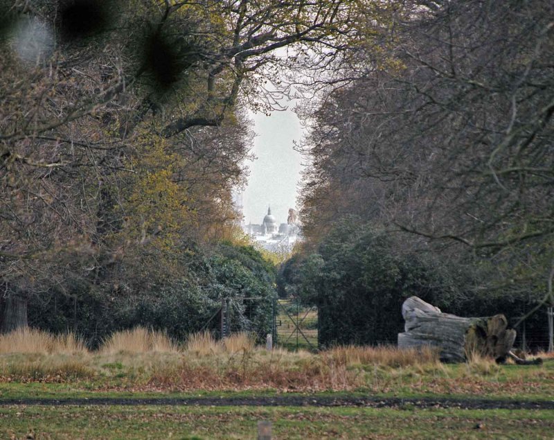 View of St Pauls from The Kings Mound Richmond