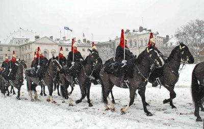 Horseguards in the snow