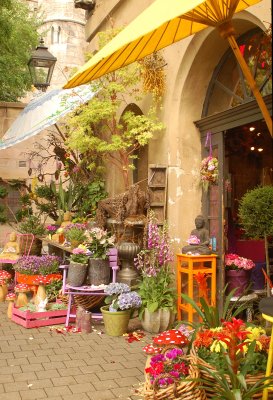 Lovely florist shop in town