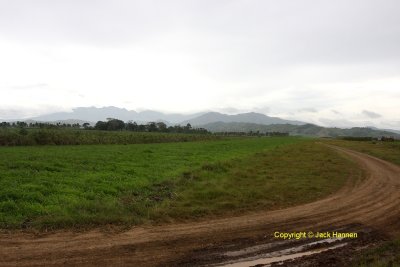 Looking north from mid airstrip with Kitanglad Range in the background