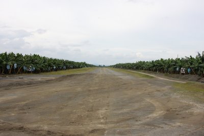 Santo Tomas airfield, TADECO