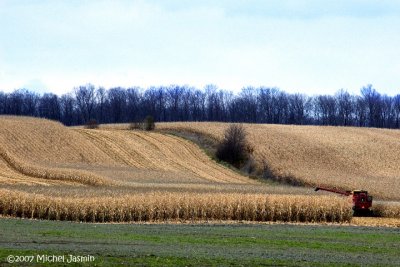 La rcolte   /  The harvest