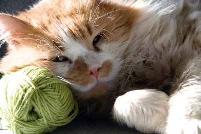 Una almohada blandita.jpg