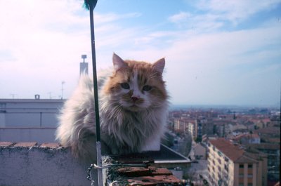 Vista de la Chana.jpg