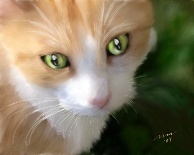 Kitty Green Eyes