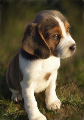 Sassy the Regal Beagle