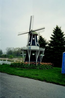 IMG16.JPG