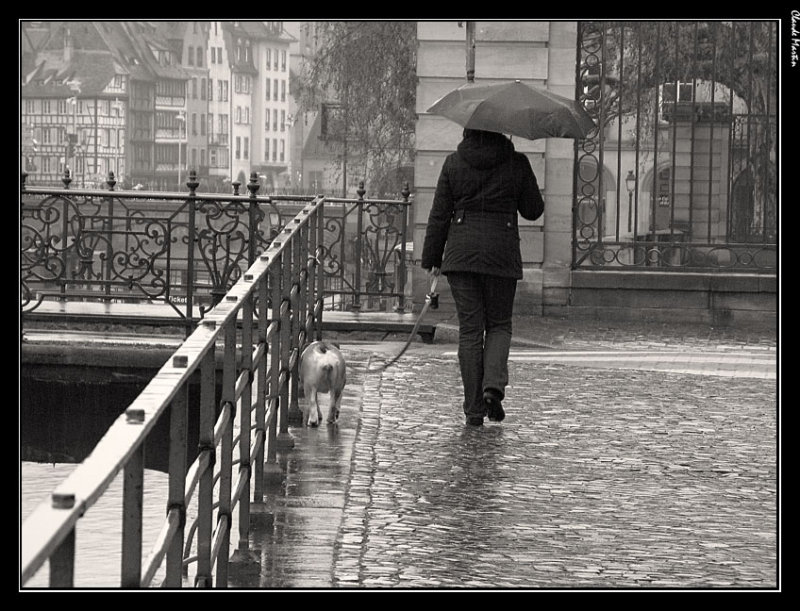 Promenade du Chien 4