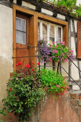 Summer Light in Alsace 2