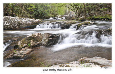 Smokies_10 WEB.jpg