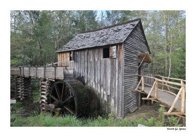 Smokies_15 WEB.jpg