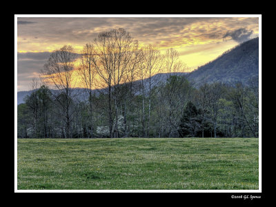 Smokies_16 WEB.jpg