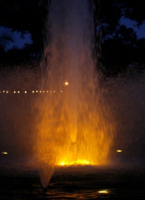 _MG_2515.JPG