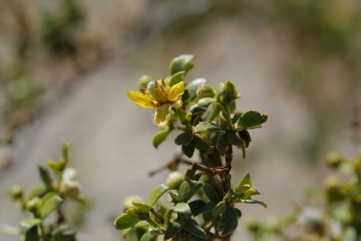 _MG_3772.JPG