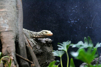 _MG_5701.jpg