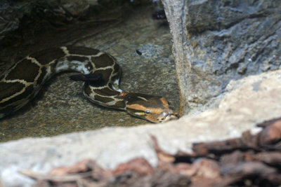 _MG_5704.jpg
