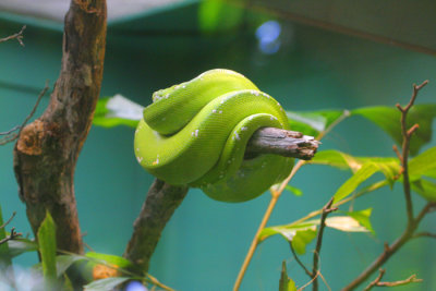_MG_5706.jpg