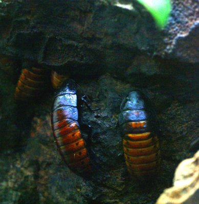 _MG_5741.jpg