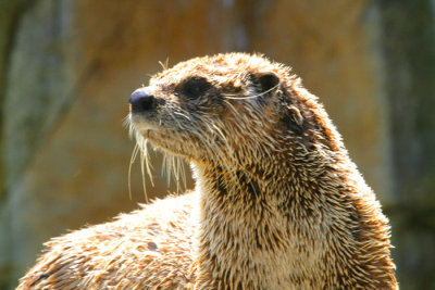 _MG_5751.jpg