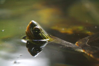 _MG_5777.jpg