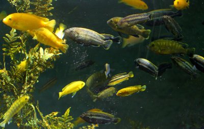 _MG_5814.jpg