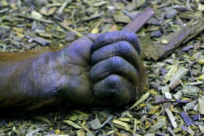 _MG_5831.jpg