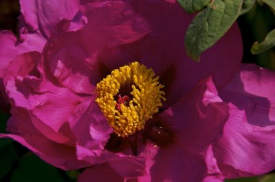 picture-7.jpg