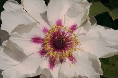 picture-9.jpg