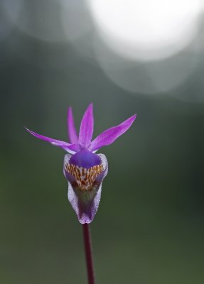 g3/78/840478/3/125321776.gdKJmBTt.jpg